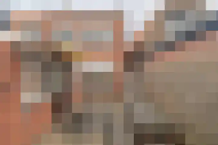 van Randwijckstraat 44 Yerseke thumbnail 28