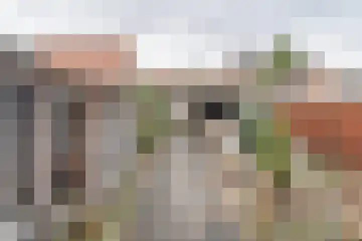 van Randwijckstraat 44 Yerseke thumbnail 29