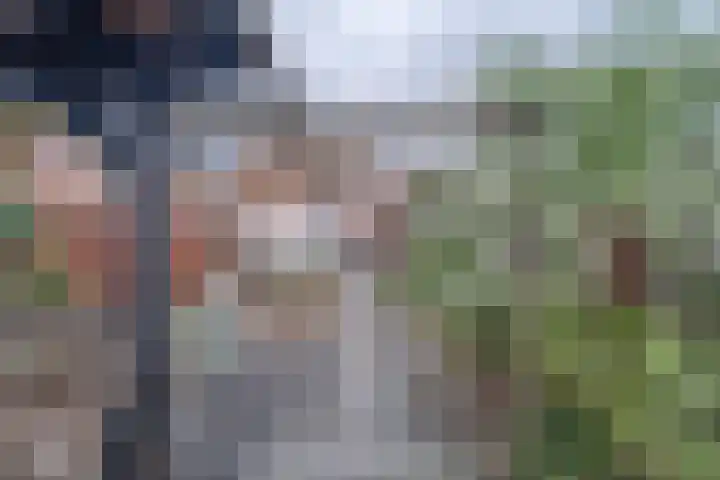van Randwijckstraat 44 Yerseke thumbnail 4