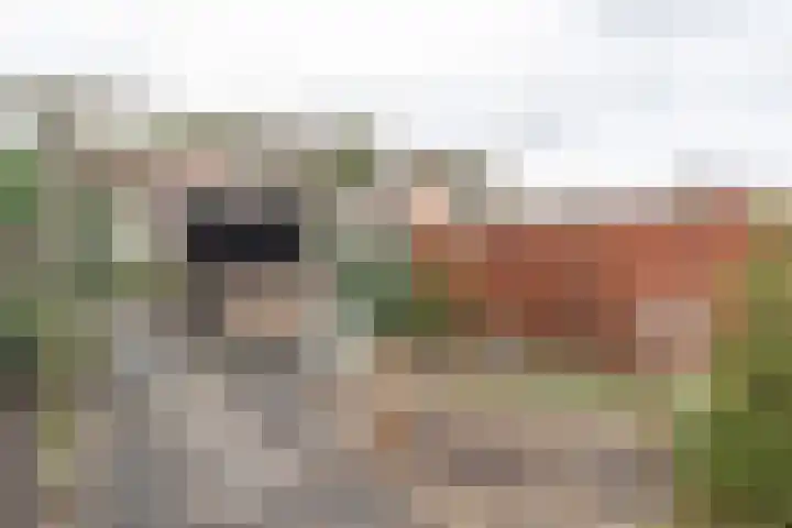 van Randwijckstraat 44 Yerseke thumbnail 5