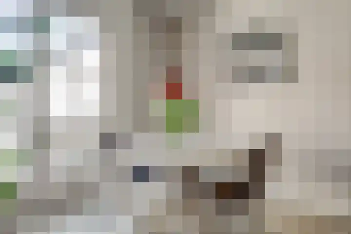 van Randwijckstraat 49 Yerseke thumbnail 10