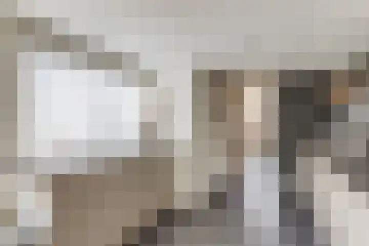 van Randwijckstraat 49 Yerseke thumbnail 12