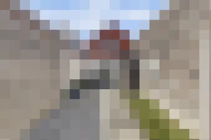 van Randwijckstraat 49 Yerseke thumbnail 26