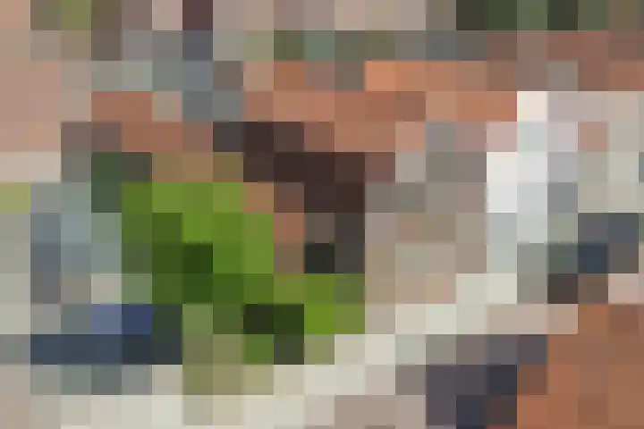 van Randwijckstraat 49 Yerseke thumbnail 4