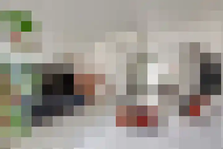 van Randwijckstraat 49 Yerseke thumbnail 7