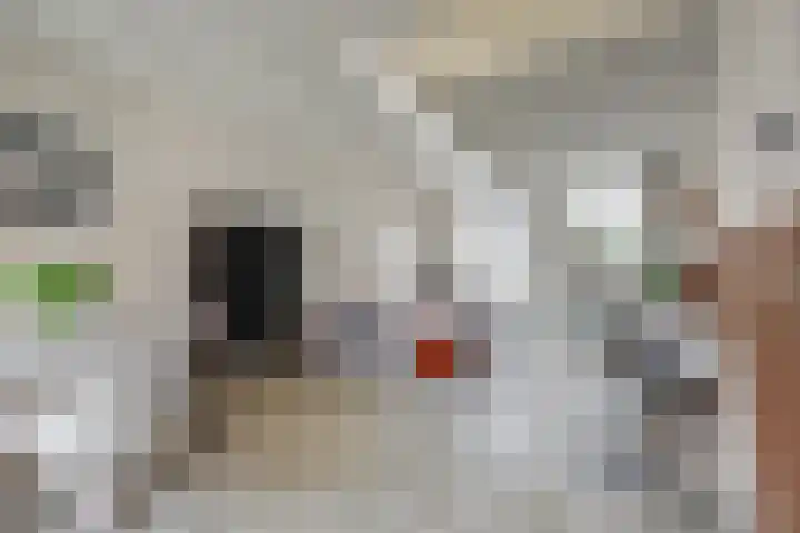 van Randwijckstraat 49 Yerseke thumbnail 8