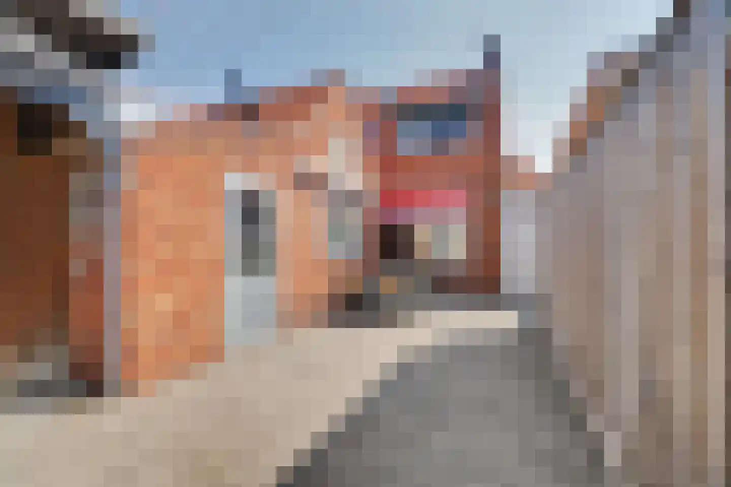 van Randwijckstraat 8 Yerseke thumbnail 21