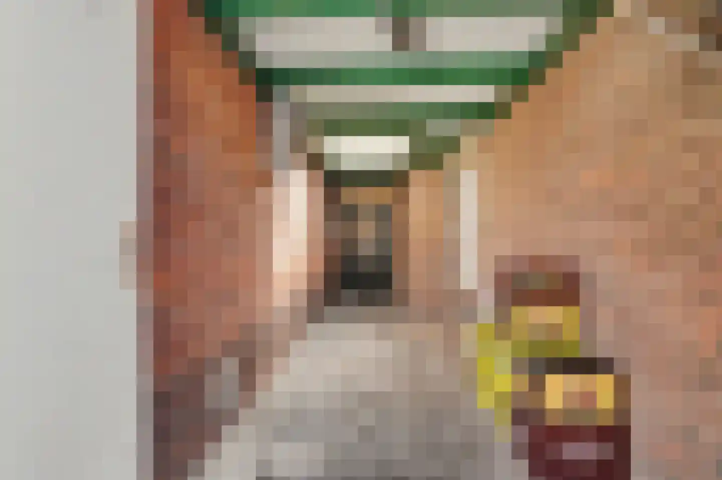 van Randwijckstraat 8 Yerseke thumbnail 25