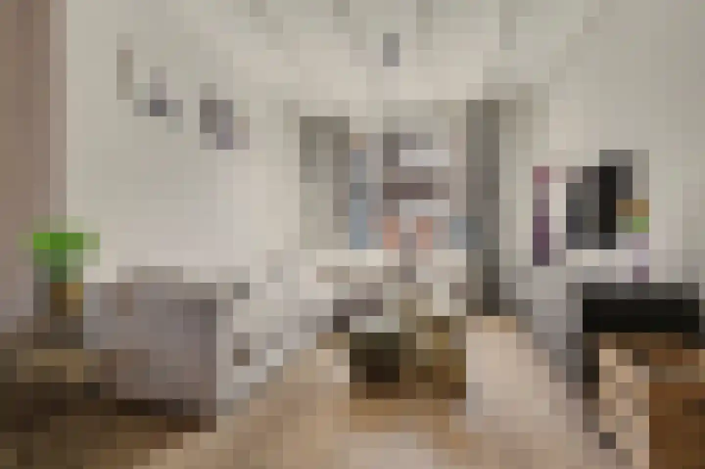 van Randwijckstraat 8 Yerseke thumbnail 4