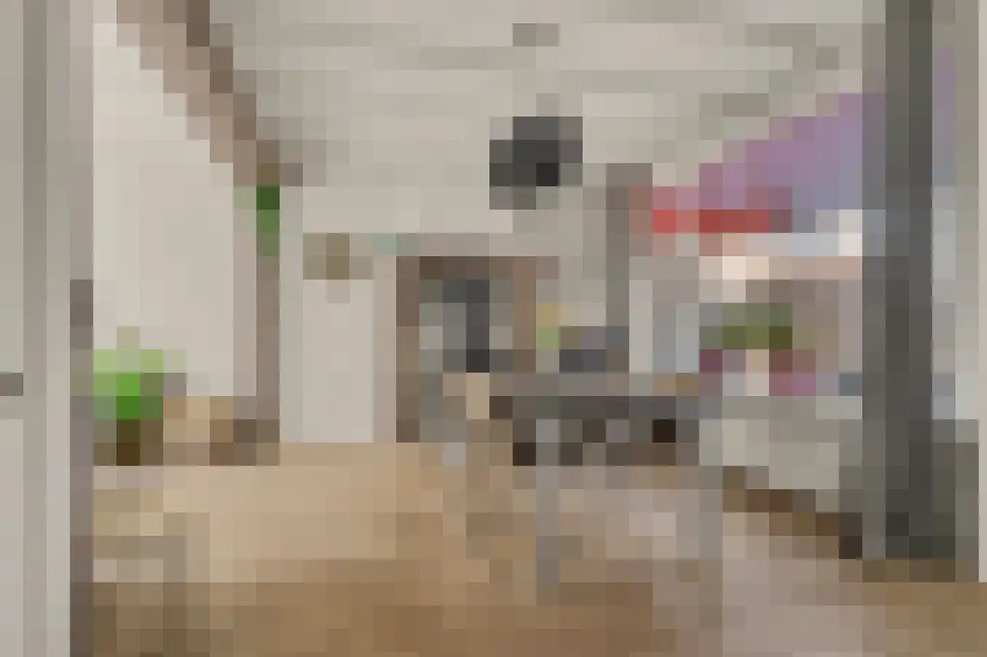 van Randwijckstraat 8 Yerseke thumbnail 5