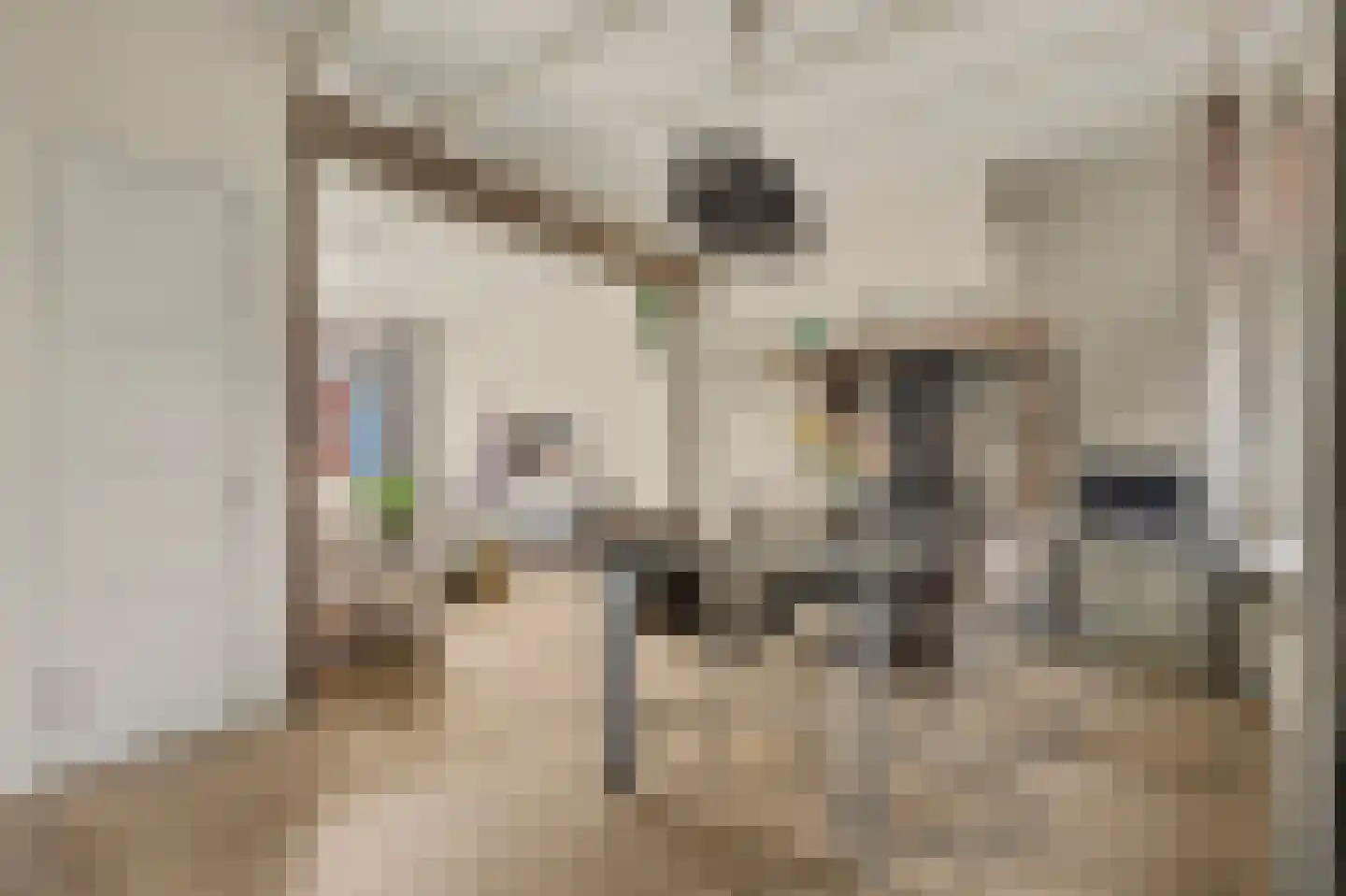 van Randwijckstraat 8 Yerseke thumbnail 6