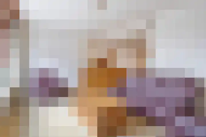van Randwijckstraat 9 Yerseke thumbnail 12