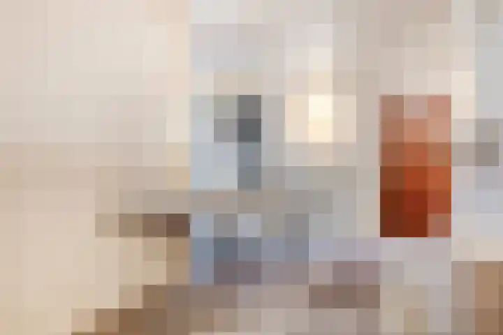 van Randwijckstraat 9 Yerseke thumbnail 14