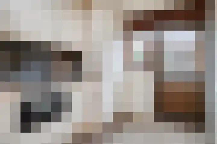 van Randwijckstraat 9 Yerseke thumbnail 16