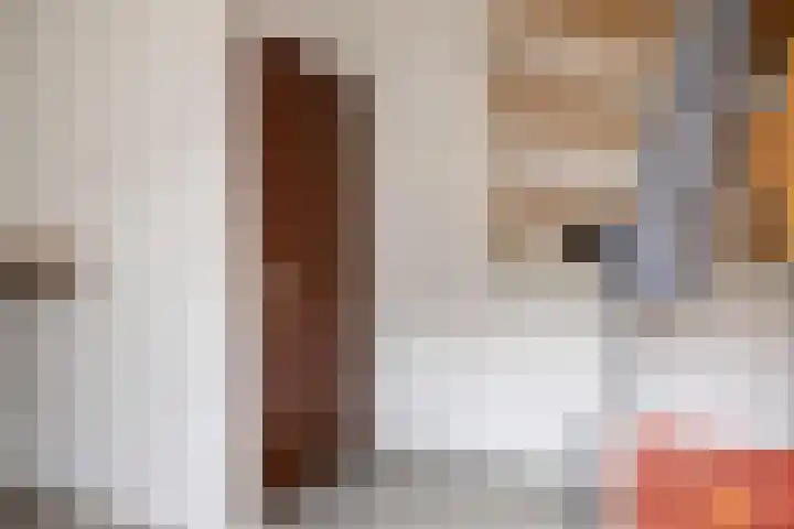 van Randwijckstraat 9 Yerseke thumbnail 31