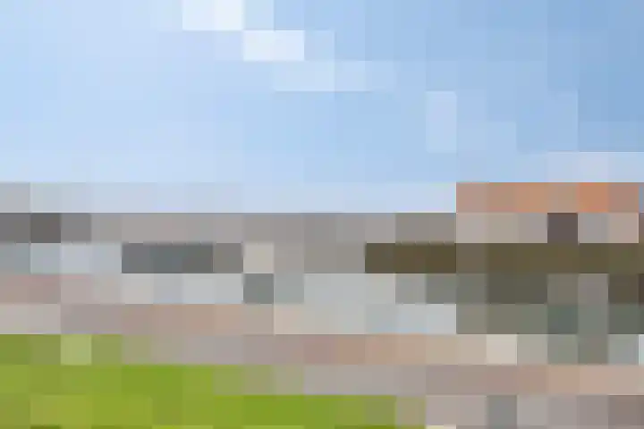 van Randwijckstraat 9 Yerseke thumbnail 34