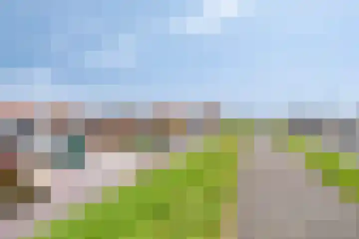 van Randwijckstraat 9 Yerseke thumbnail 4