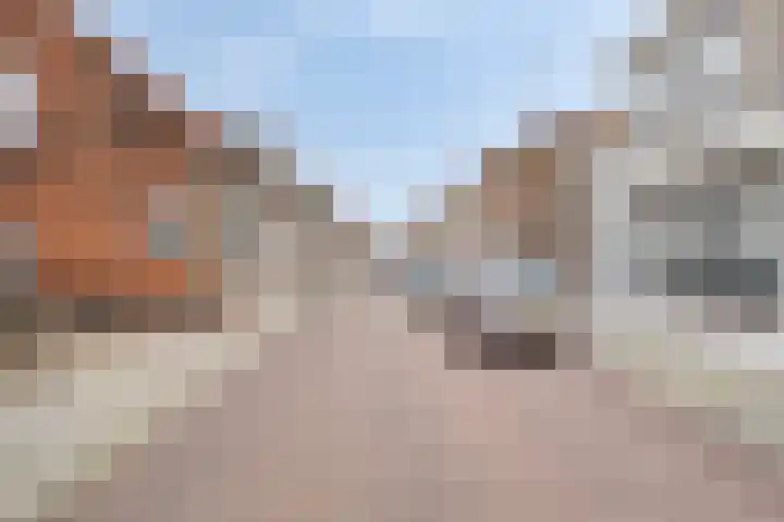 van Randwijckstraat 9 Yerseke thumbnail 6