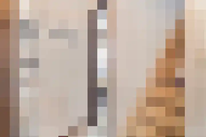 van Randwijckstraat 9 Yerseke thumbnail 8