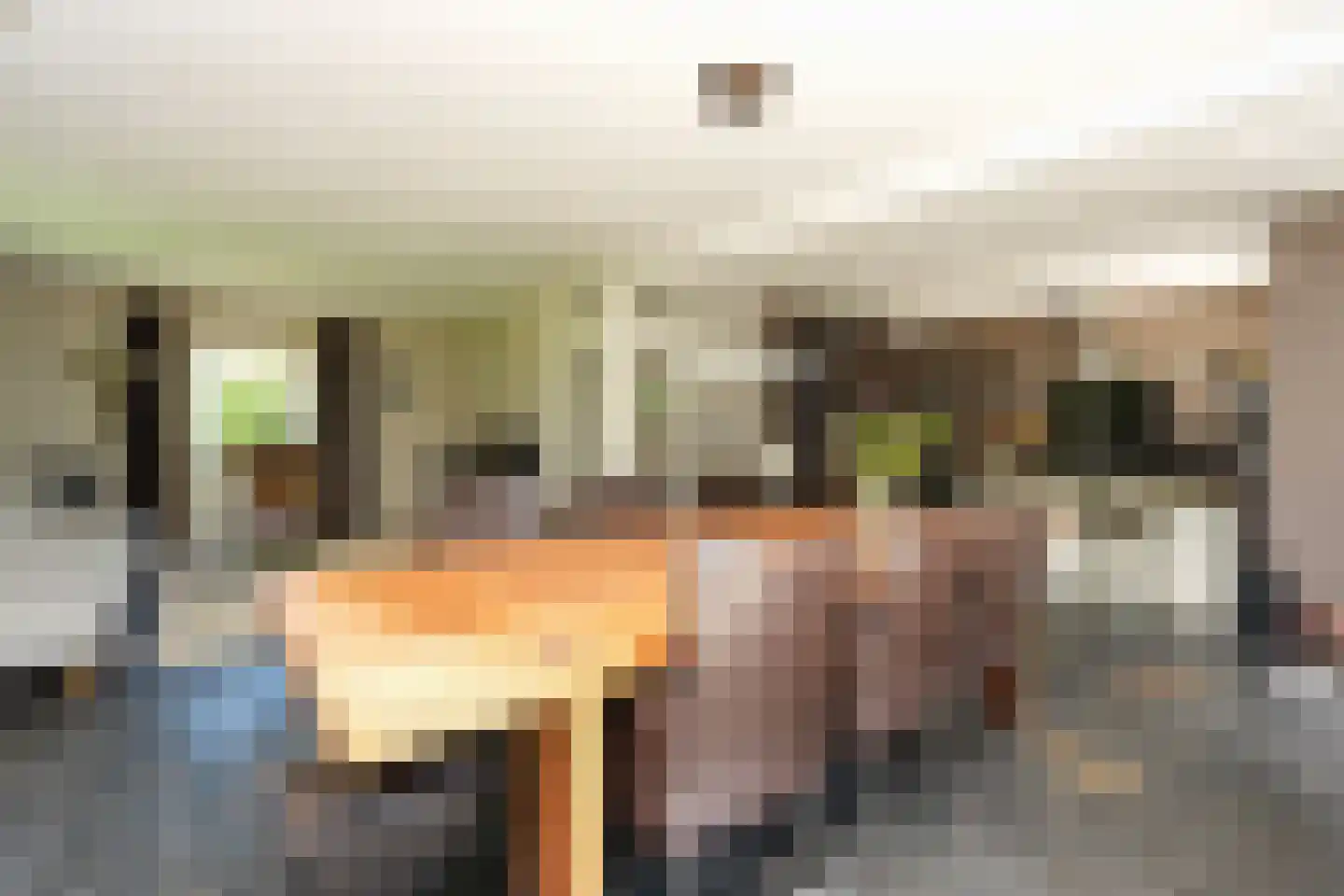 van Randwijckweg 21 Beek thumbnail 10