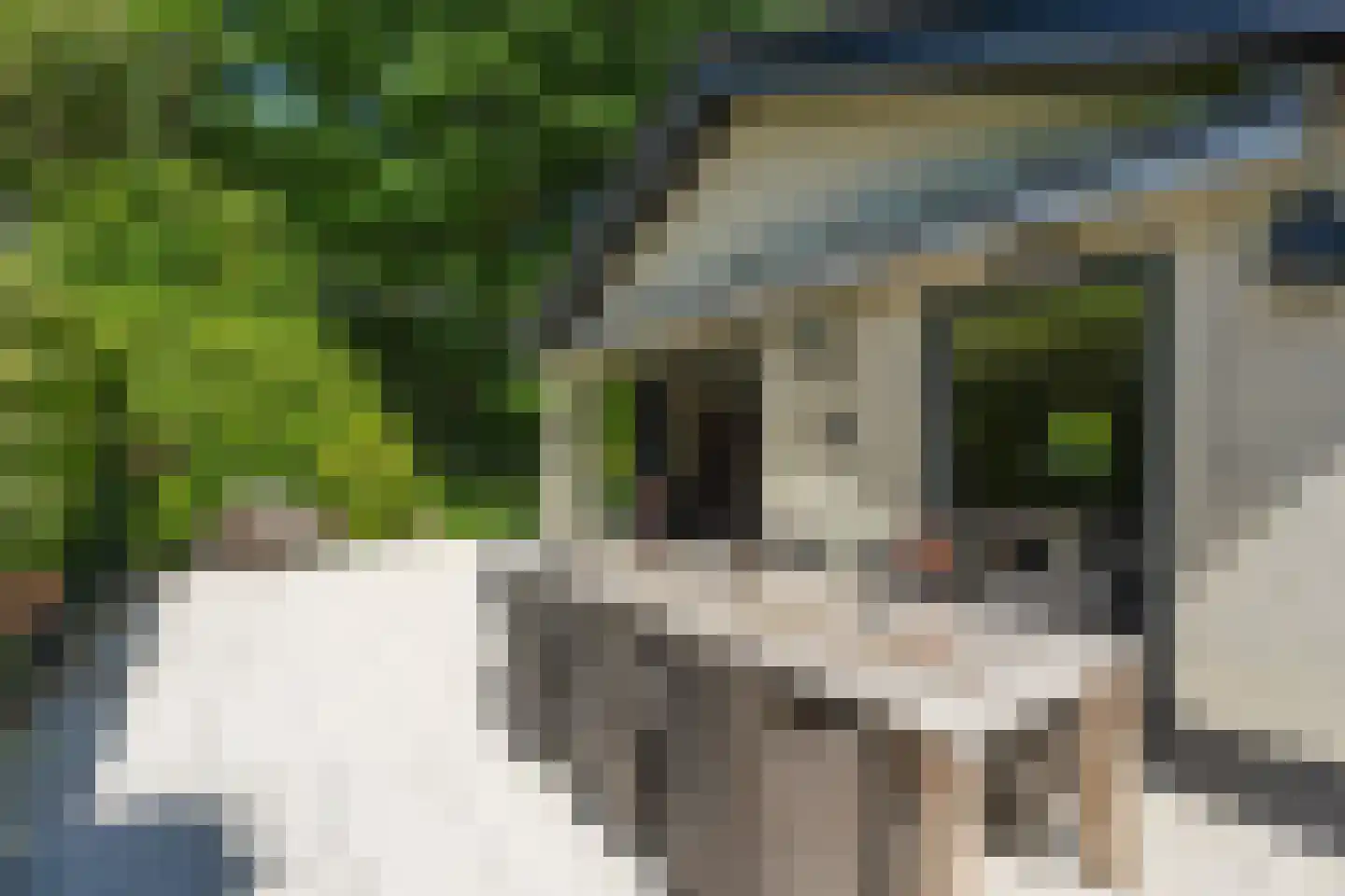 van Randwijckweg 21 Beek thumbnail 12