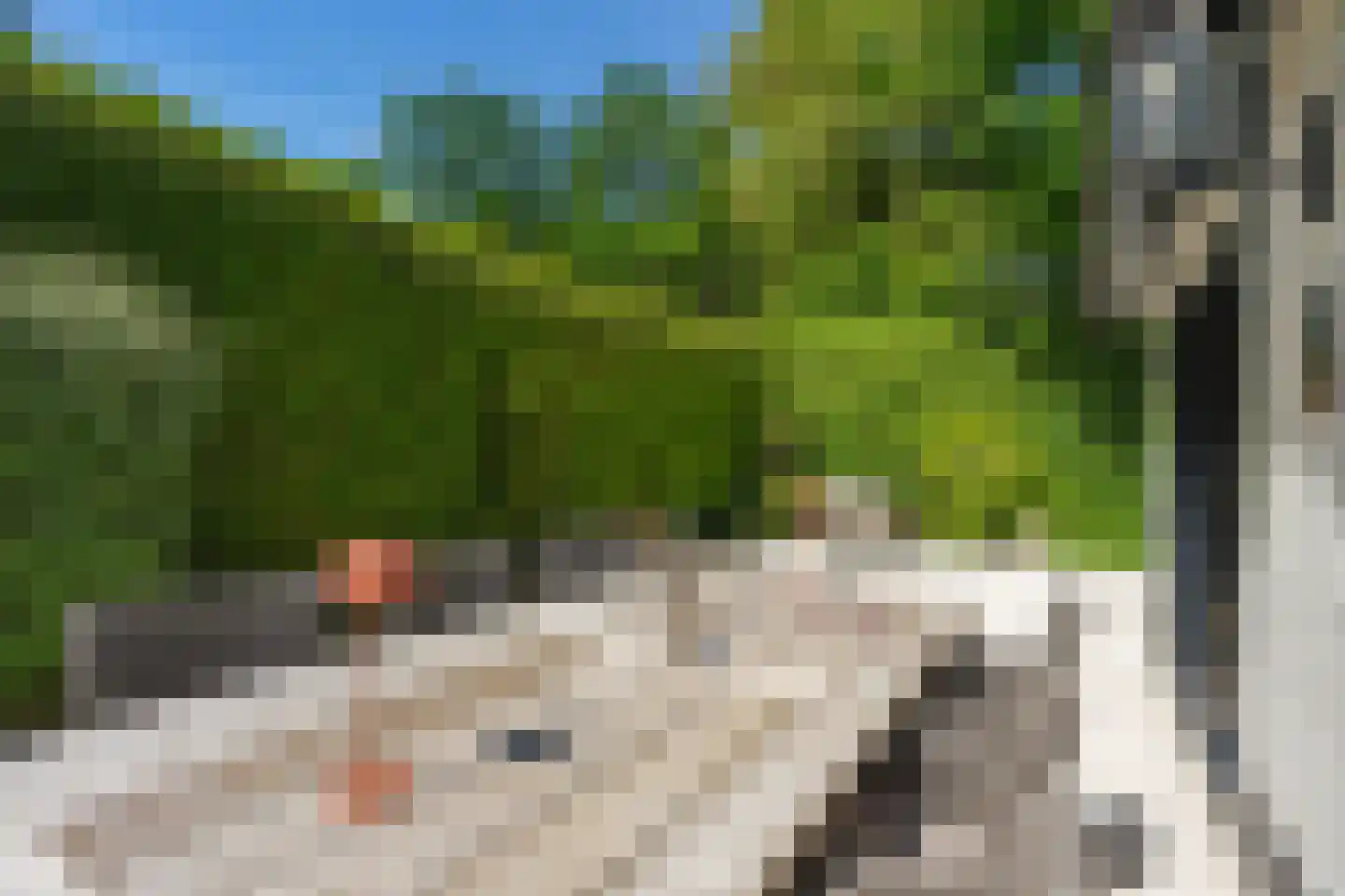 van Randwijckweg 21 Beek thumbnail 13