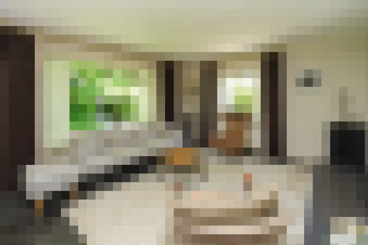 van Randwijckweg 21 Beek thumbnail 14