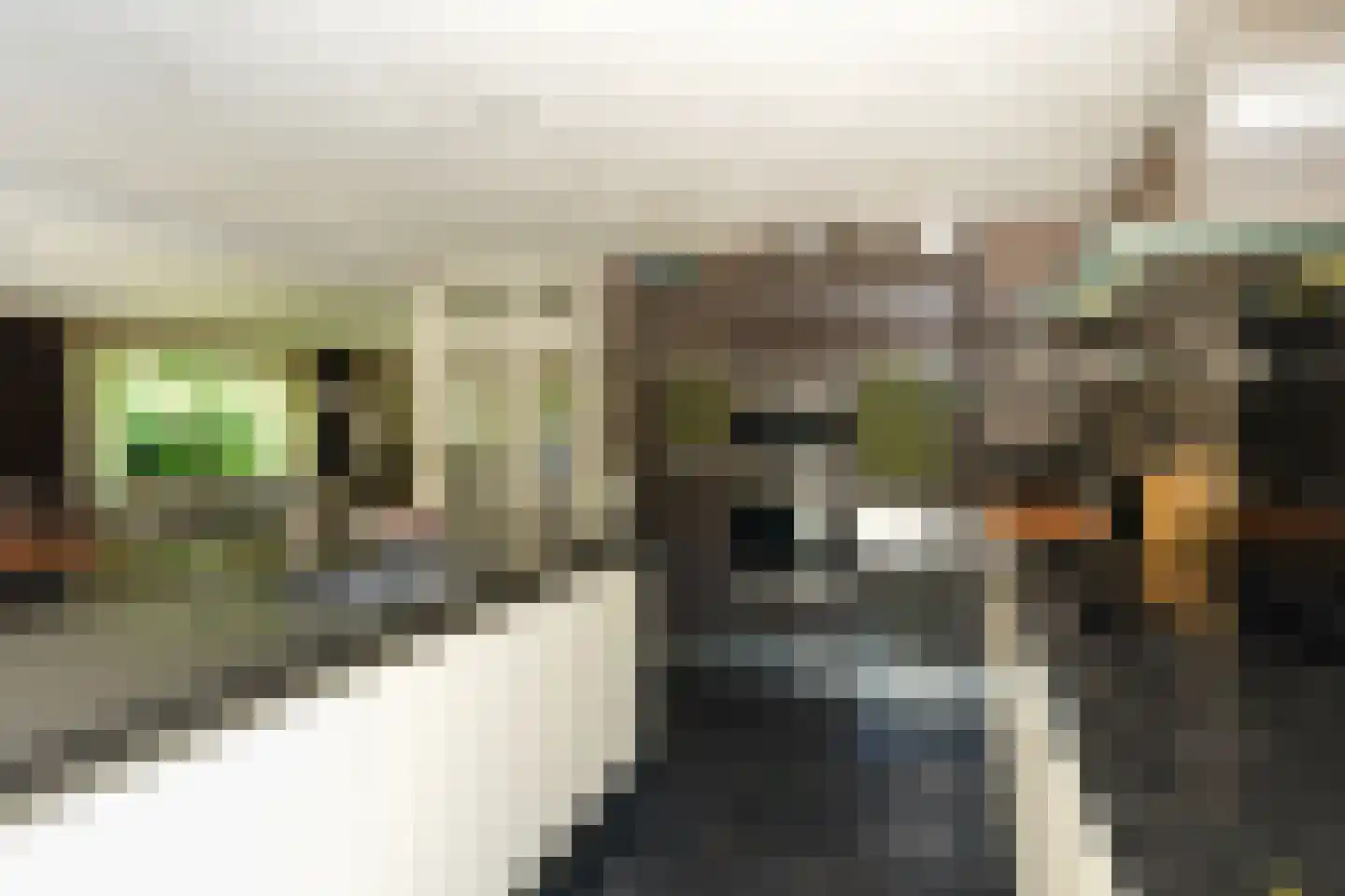 van Randwijckweg 21 Beek thumbnail 16