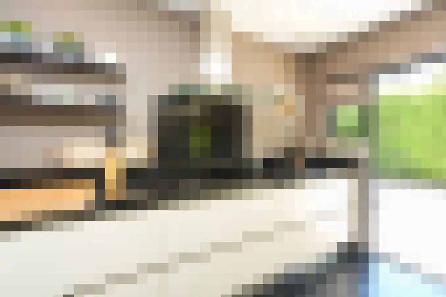 van Randwijckweg 21 Beek thumbnail 19