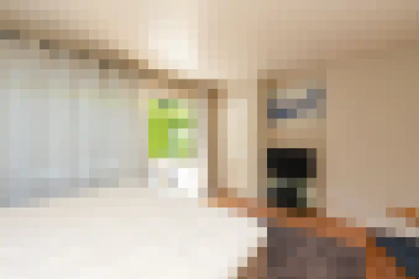 van Randwijckweg 21 Beek thumbnail 21