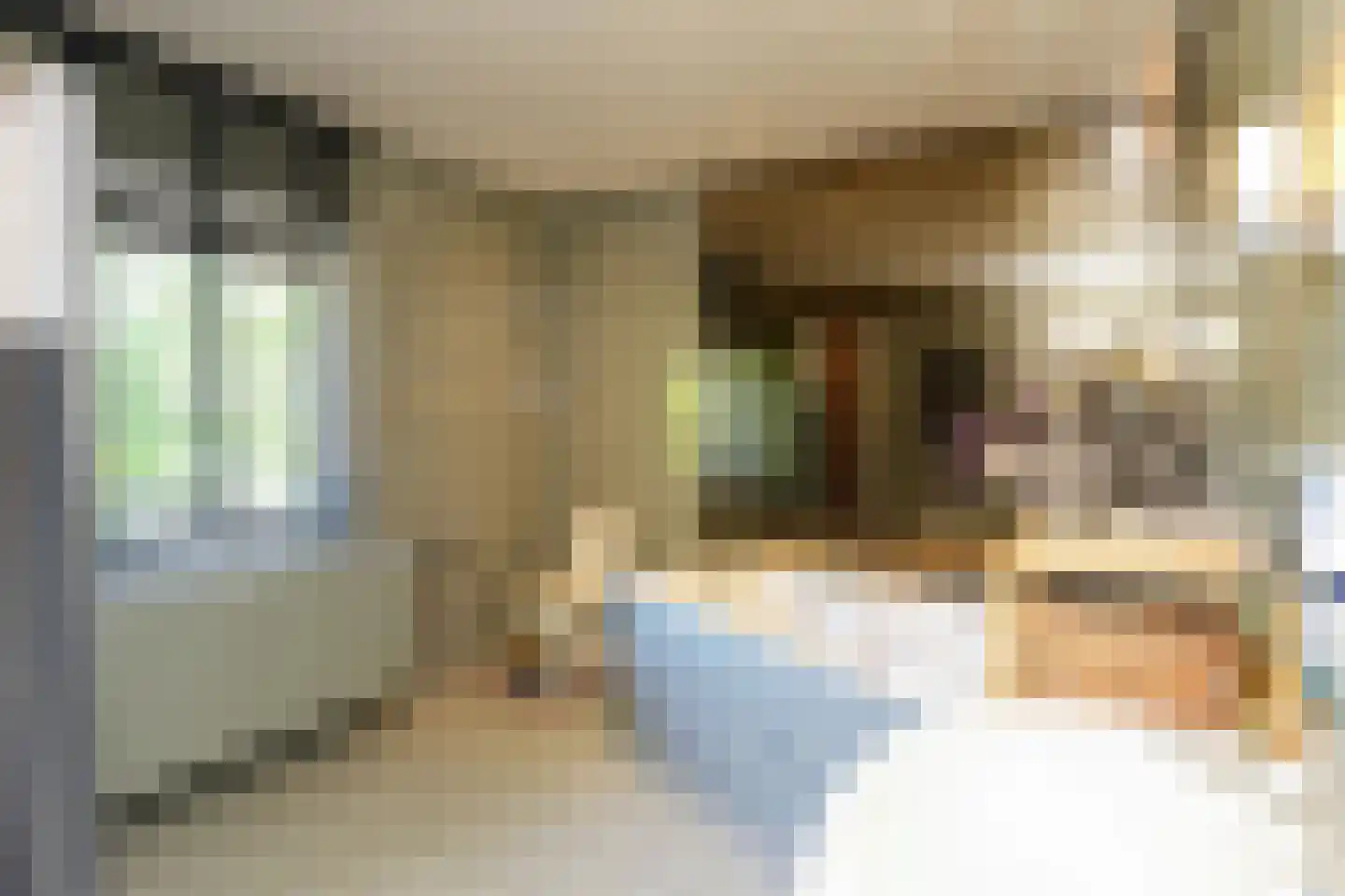van Randwijckweg 21 Beek thumbnail 25