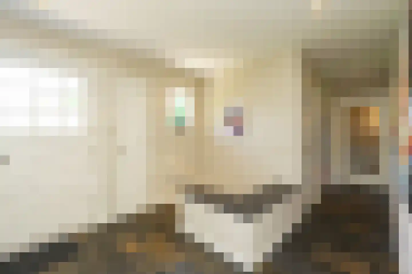 van Randwijckweg 21 Beek thumbnail 29
