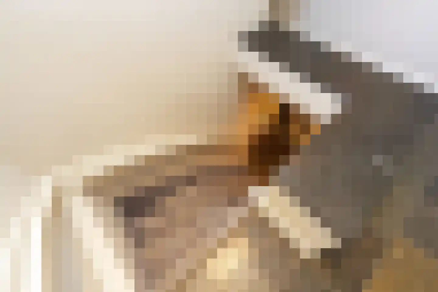 van Randwijckweg 21 Beek thumbnail 30