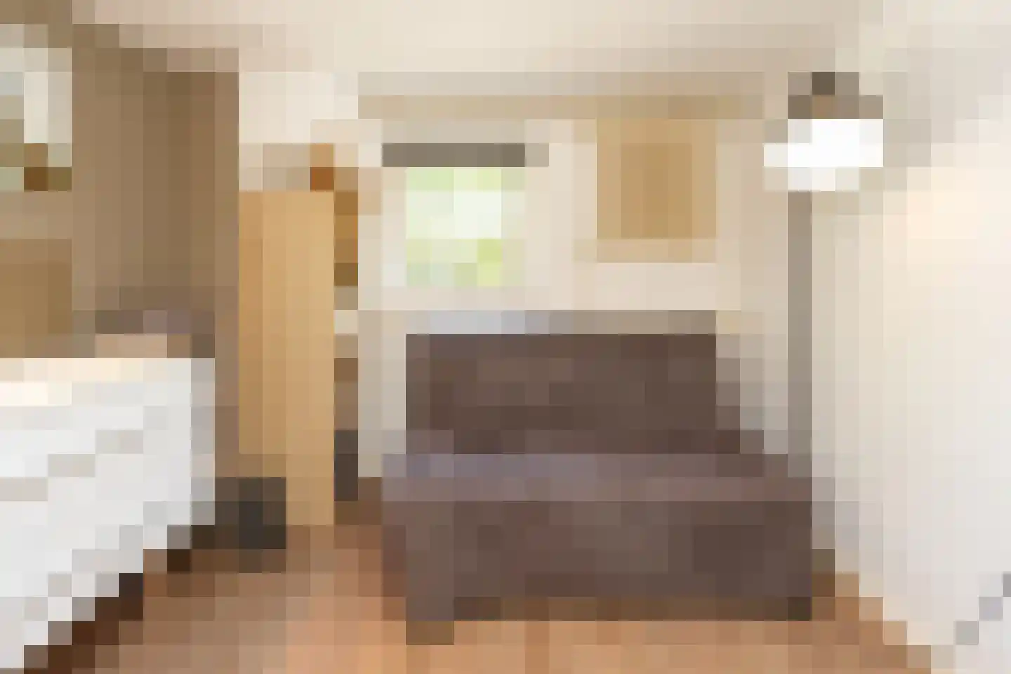 van Randwijckweg 21 Beek thumbnail 31