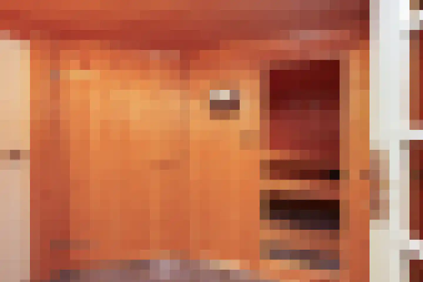 van Randwijckweg 21 Beek thumbnail 32