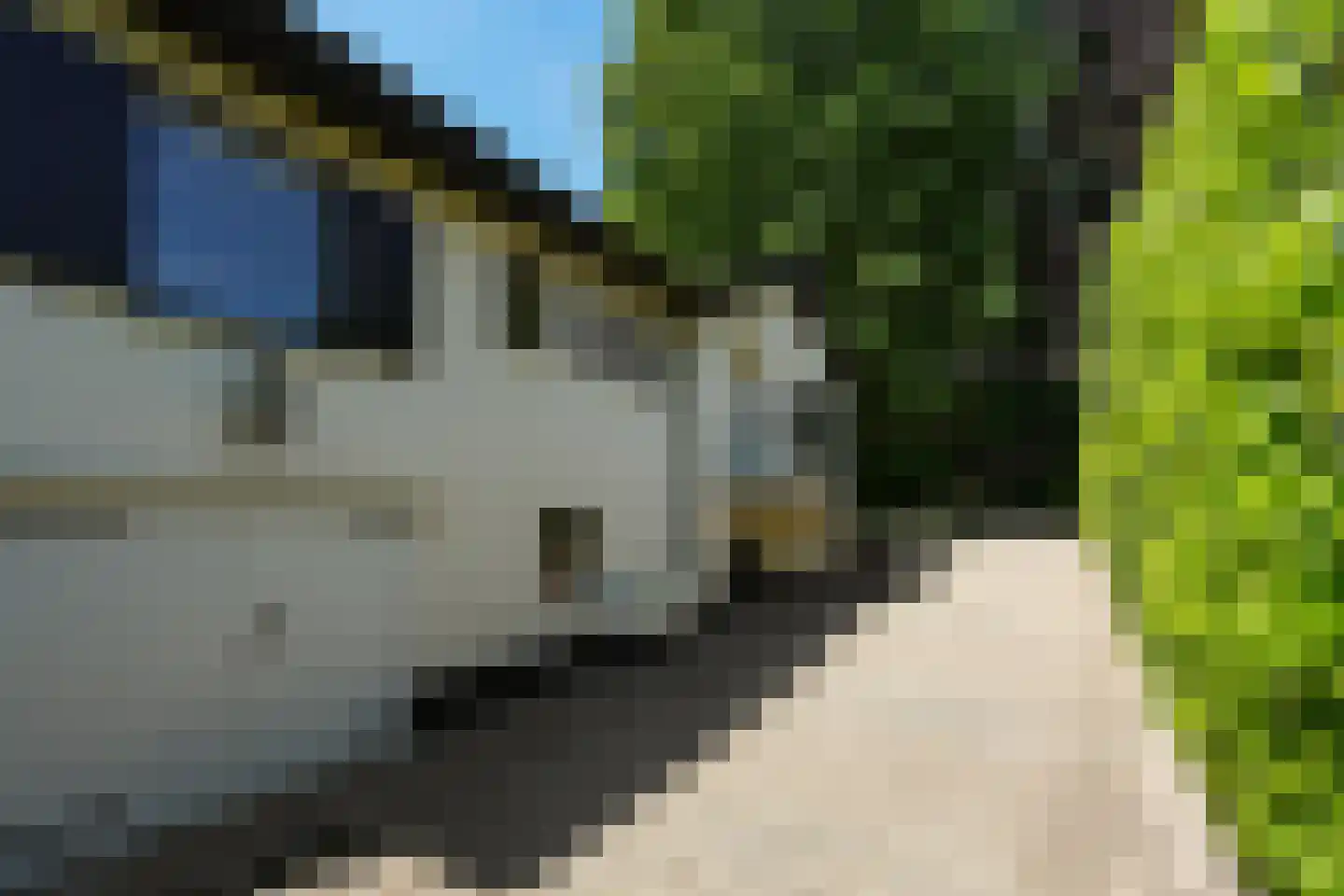 van Randwijckweg 21 Beek thumbnail 37