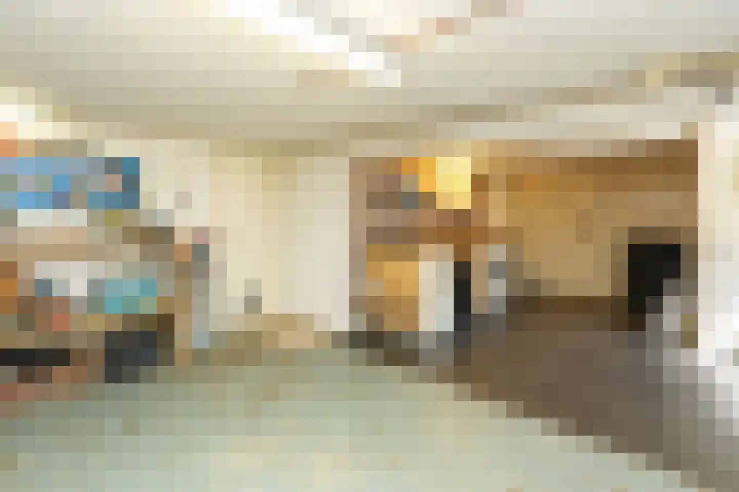 van Randwijckweg 21 Beek thumbnail 38