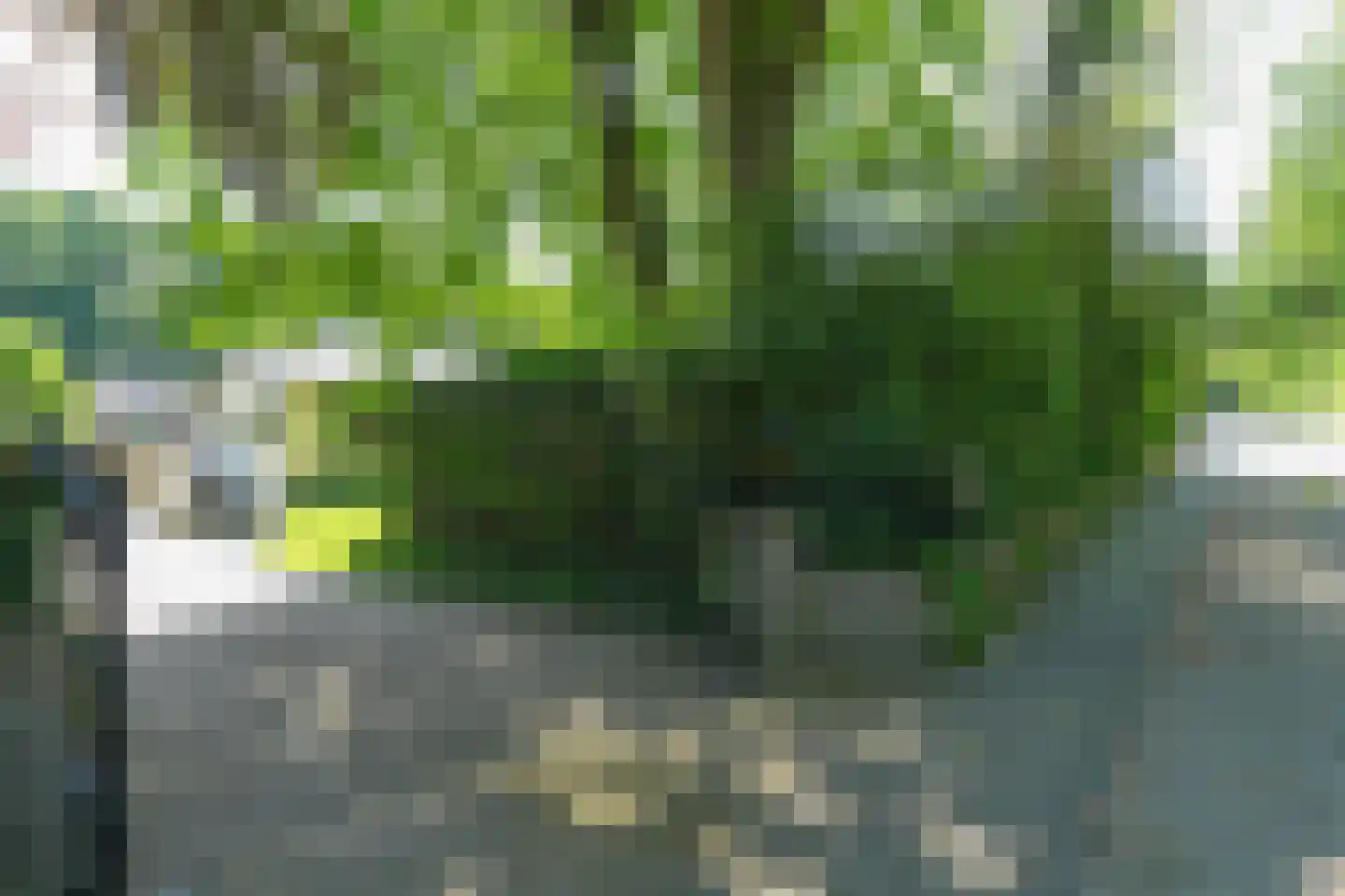van Randwijckweg 21 Beek thumbnail 4