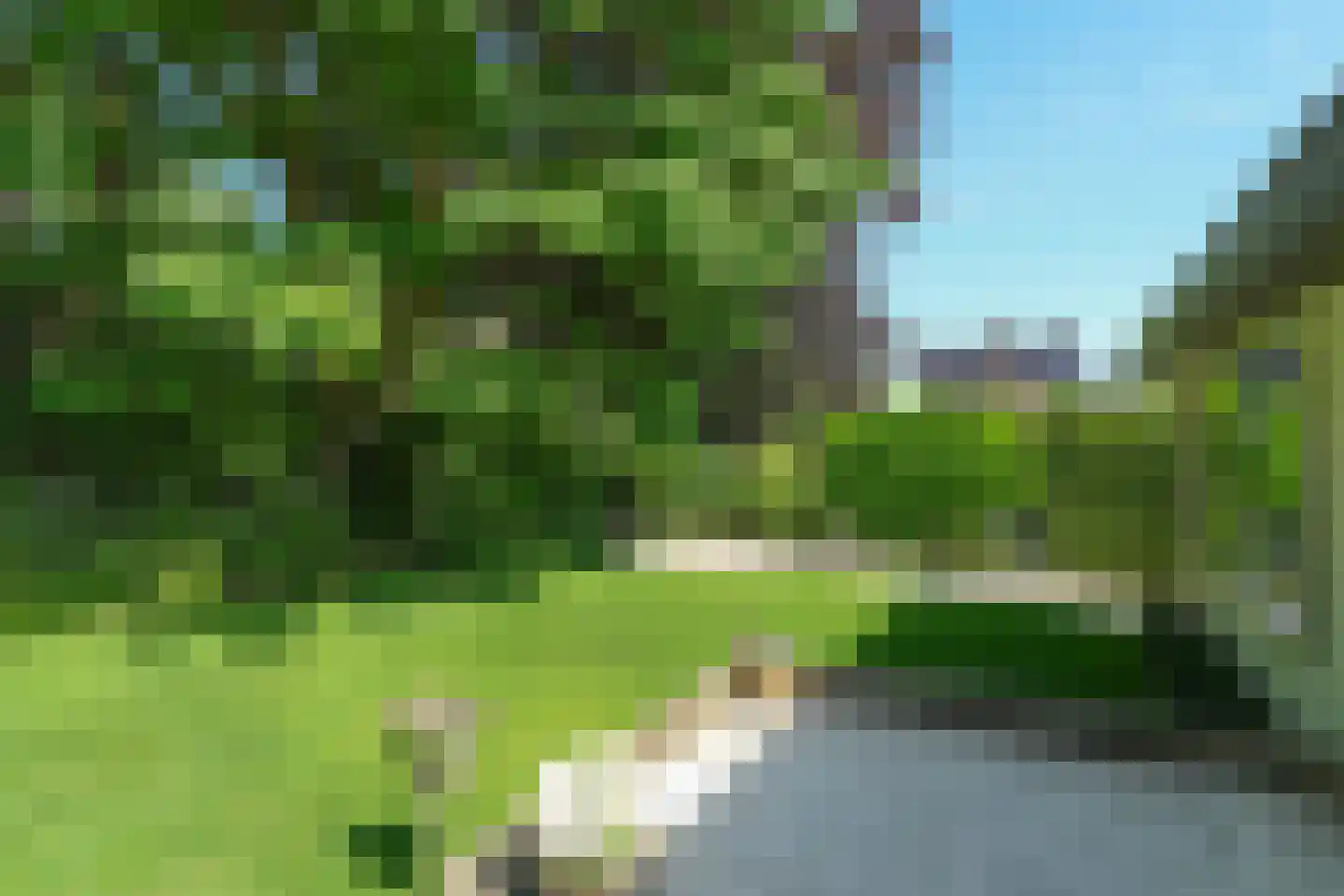 van Randwijckweg 21 Beek thumbnail 40