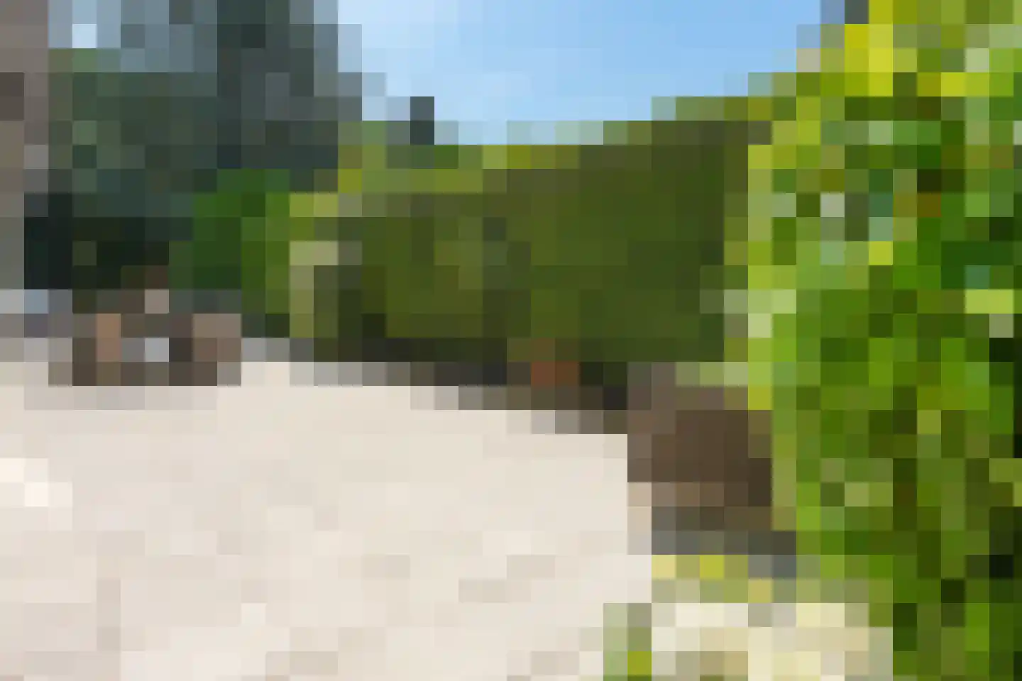 van Randwijckweg 21 Beek thumbnail 41