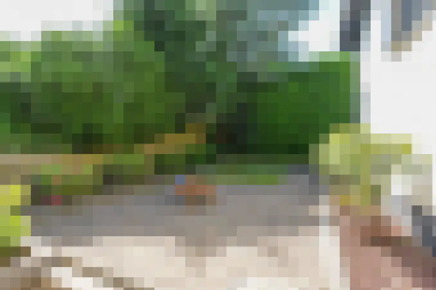 van Randwijckweg 21 Beek thumbnail 42