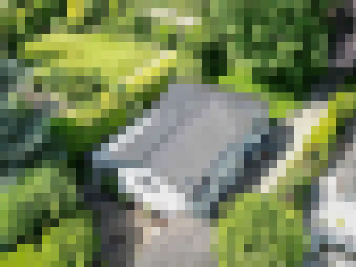 van Randwijckweg 21 Beek thumbnail 44