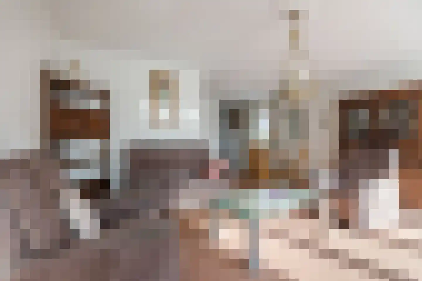 van Randwijkhof 1 Lichtenvoorde thumbnail 13