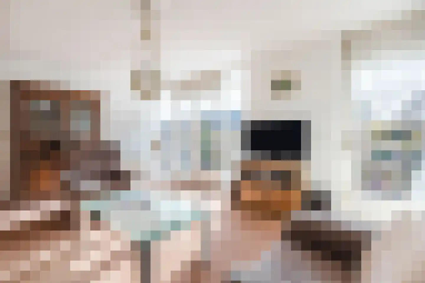 van Randwijkhof 1 Lichtenvoorde thumbnail 14