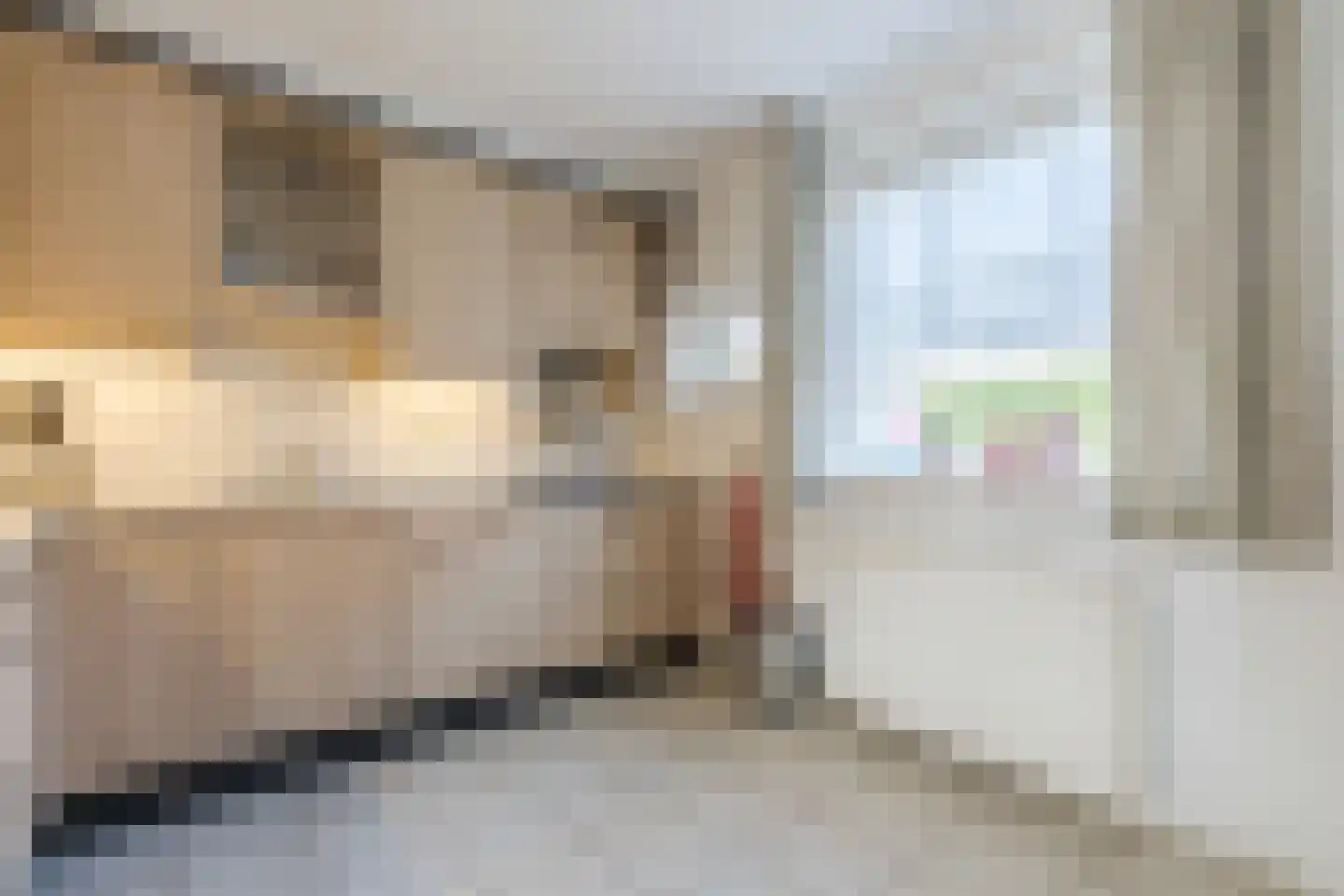 van Randwijkhof 1 Lichtenvoorde thumbnail 17