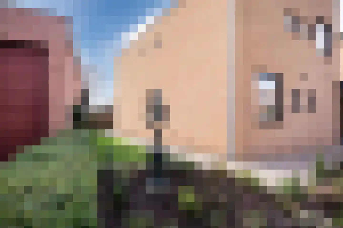 van Randwijkhof 1 Lichtenvoorde foto 2