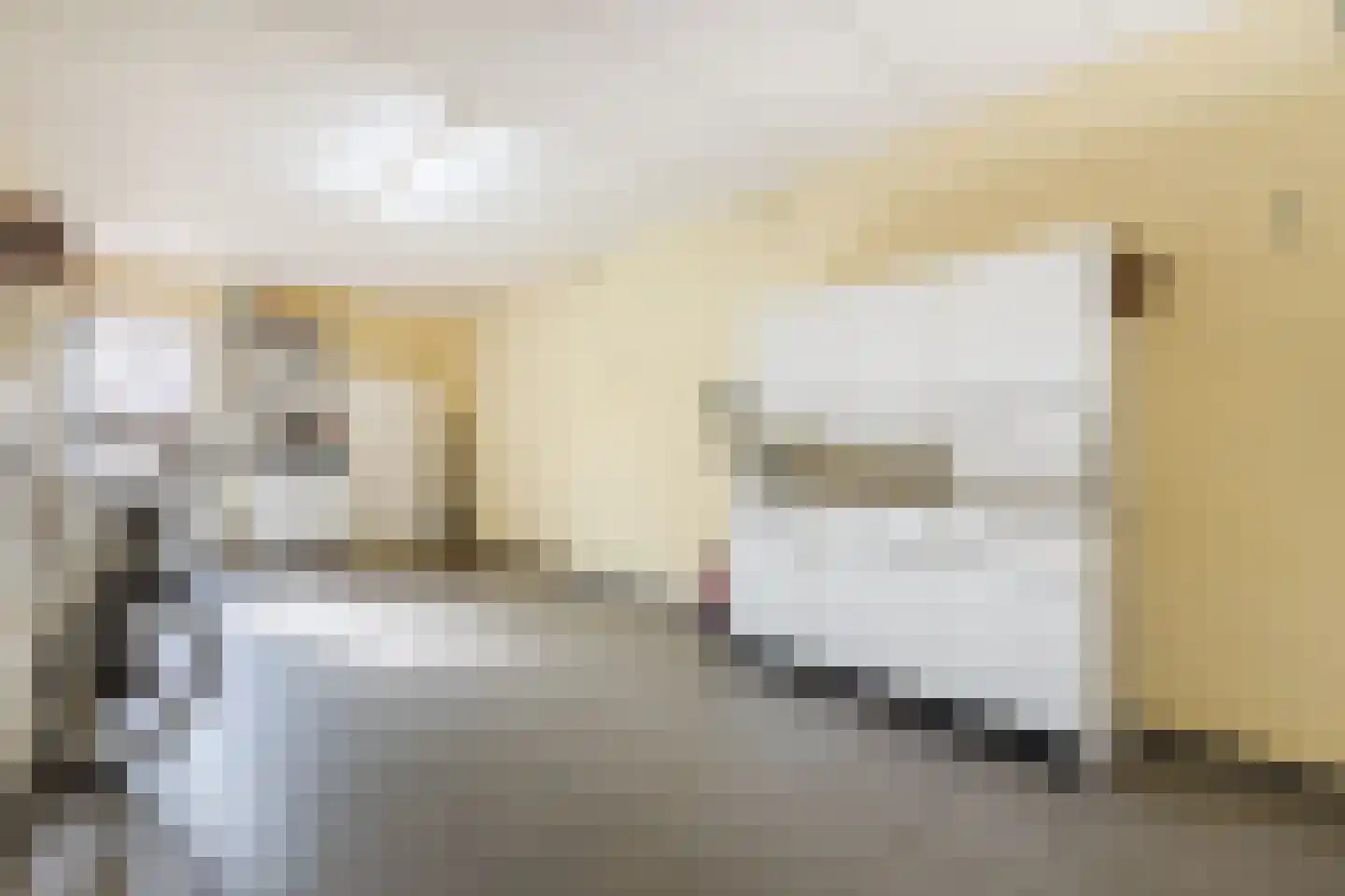 van Randwijkhof 1 Lichtenvoorde thumbnail 23