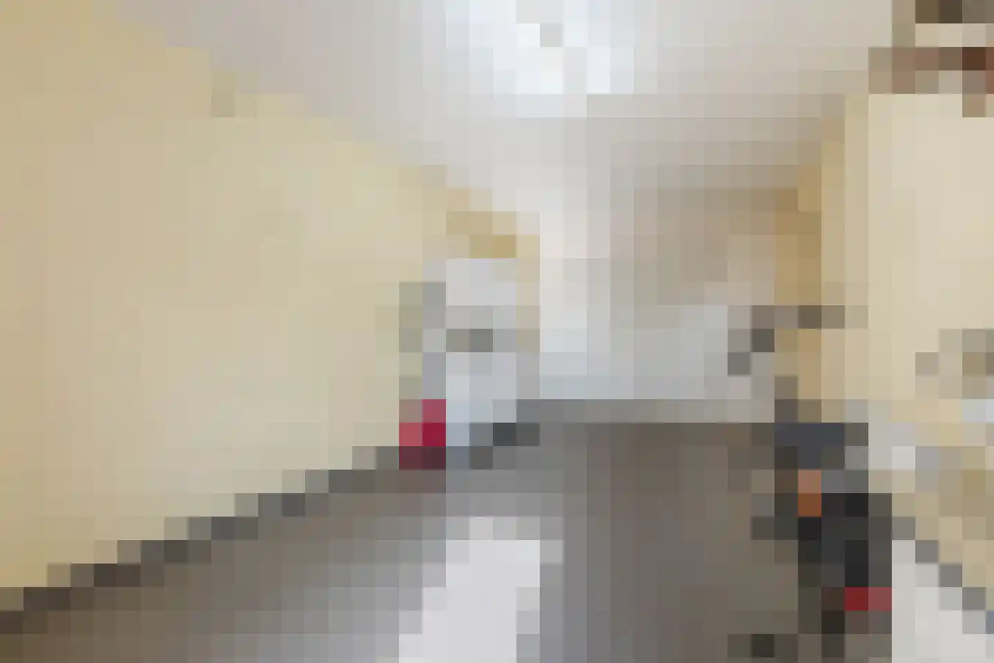 van Randwijkhof 1 Lichtenvoorde thumbnail 25