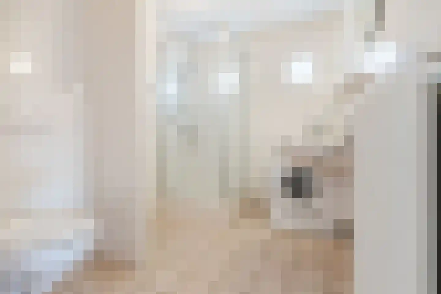 van Randwijkhof 1 Lichtenvoorde thumbnail 37