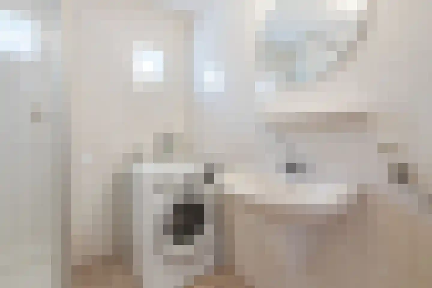 van Randwijkhof 1 Lichtenvoorde thumbnail 39